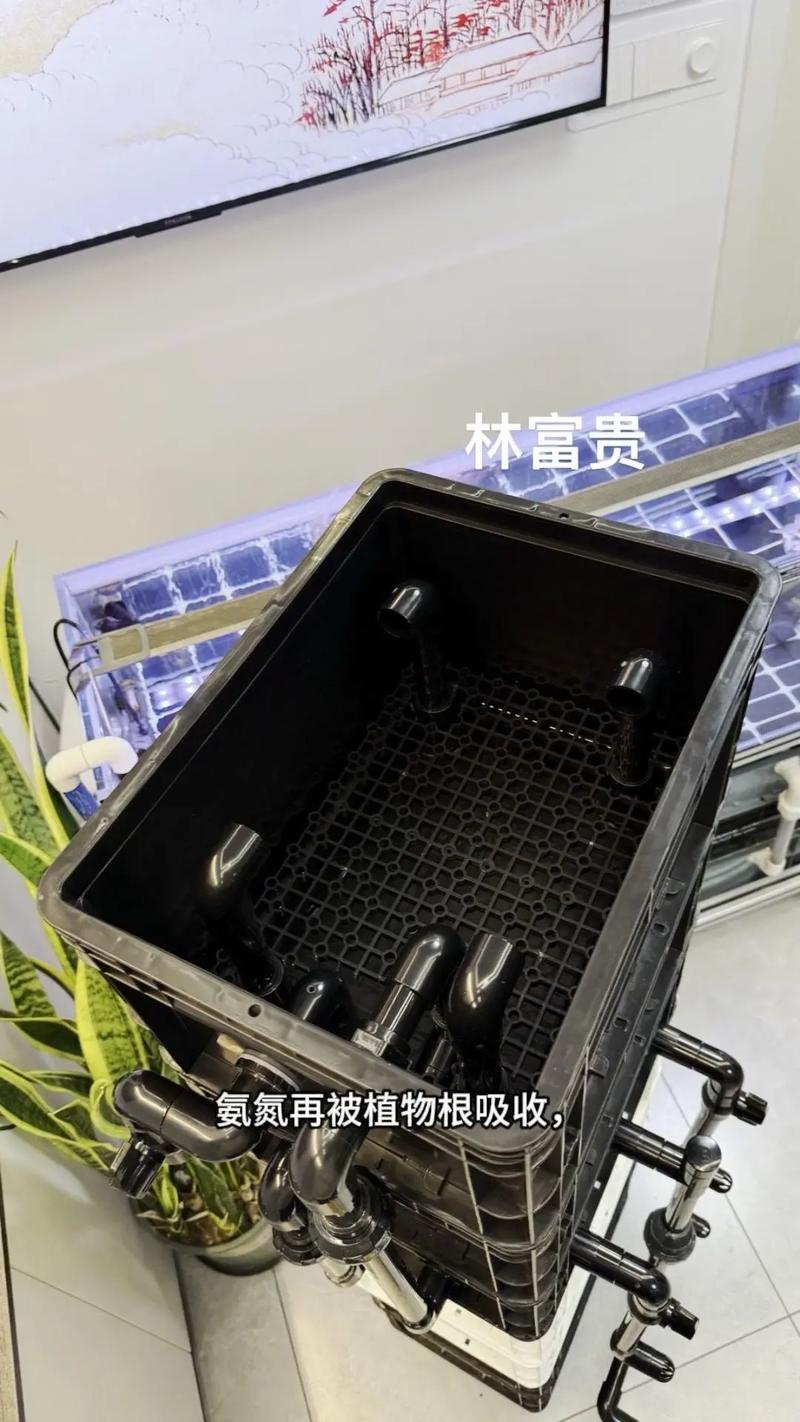 周转箱沼泽过滤原理详解 从水泵抽水到自然净化