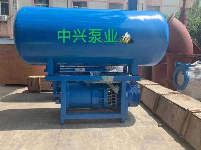专业现场勘察 雪橇式漂浮式水泵 专业轴流泵厂家 专利产品